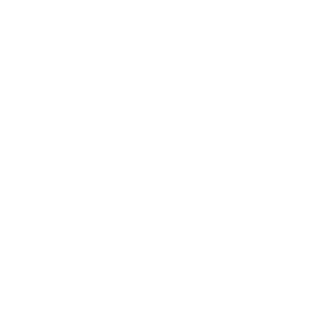 Institut Dones