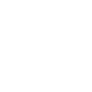 Plugin