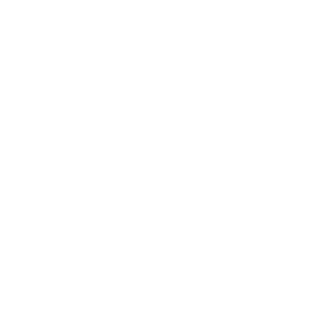 The Breach