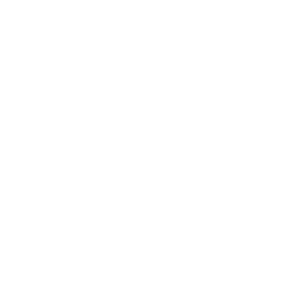 VRMax